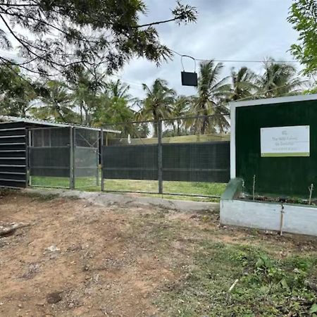 The Wild Farms By Gwestai Masinagudi Exterior foto